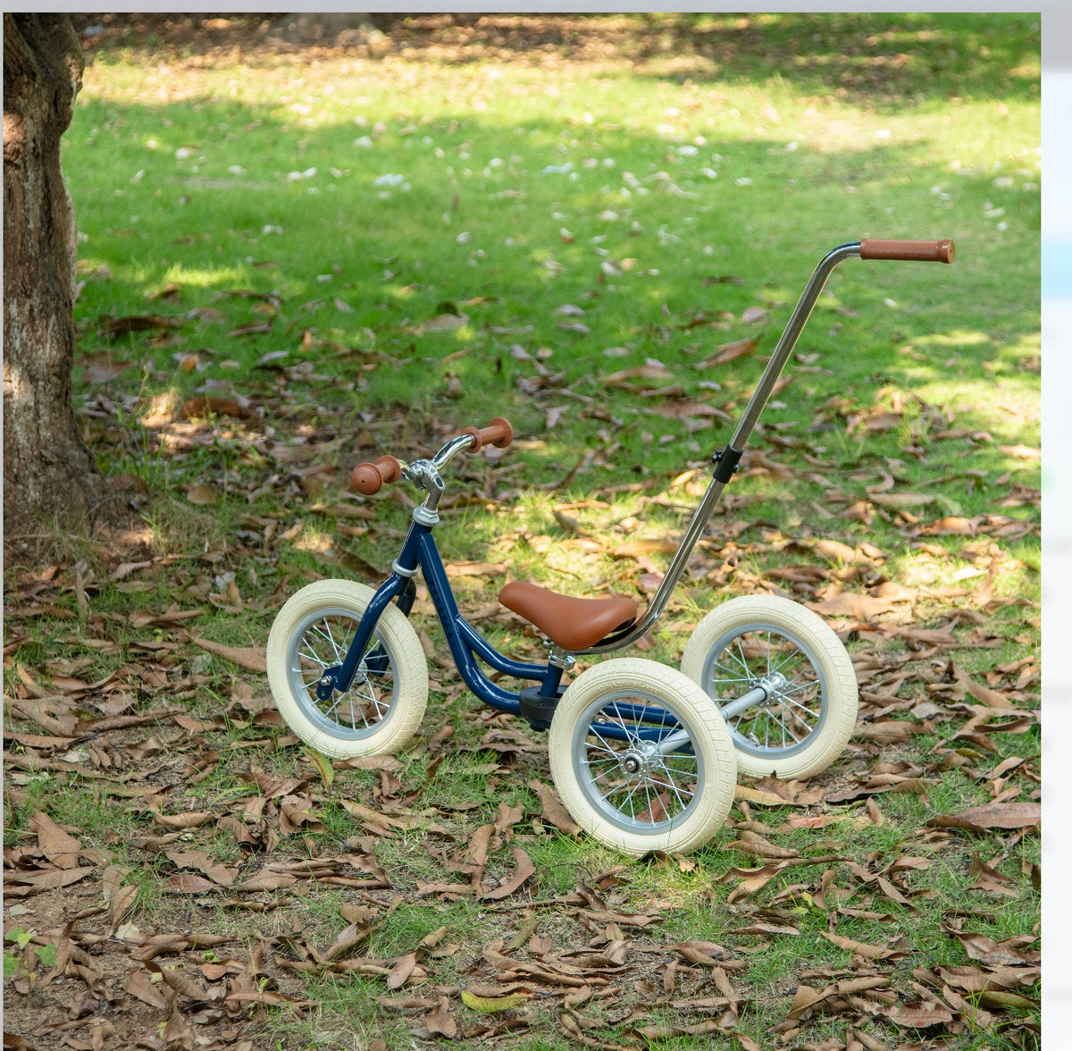 2 in 1 Loopfiets - Blauw