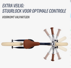 2 in 1 Loopfiets - Blauw